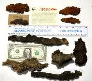 9 coprolite fossil Dinosaur POOP from Madagascar GENUINE NATURAL 1300 grams 4