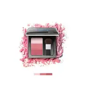 Zeesea - 3-Color Concealer Blusher - 5g - Midnight Rose