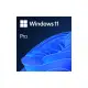 ◤全新品 含稅 免運費◢ Windows 11 專業版 ESD 數位下載版 (Windows 11 Professional) (FQC-10572)