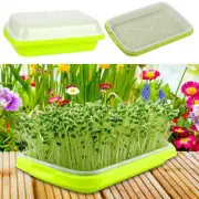 Seed Sprouter Tray Soil-Free Microgreens Growing Trays Nursery Tray Seed Plantin