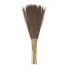 20pcs Dried Faux Pampas Grass 21" Artificial Pampas Grass Decor Dark Coffee