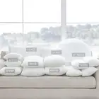Brand New -- 2Pcs Longhui Bedding Pillow Inserts / Cushion Throw Pillow Covers