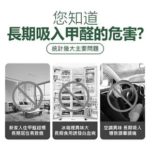 竹炭包 除濕竹炭包 車用竹炭包 車用除臭 活性碳包 除臭包 除濕包 竹炭球包 竹炭 活性碳 除臭防潮 淨化空氣 鞋櫃除臭