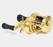 Shimano 21 Calcutta Conquest 200HG Right New in Box from Japan