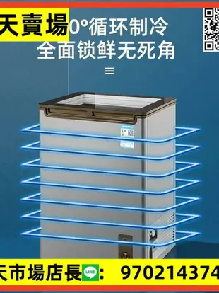 小冷柜節能一級能效家用全冷凍冰櫃小型商用大容量冰櫃速凍冷藏兩用柜小型迷你冷藏冷凍櫃