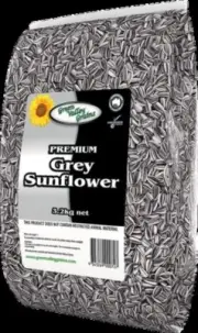 Green Valley Grey Sunflower seeds 3.2kg FREE POSTAGE!!!
