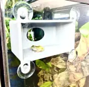 Gecko Frog Cave Wall Decor Amphibian Reptile Tank Enrichment Accessories