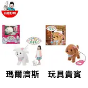 【日本IWAYA】散步小狗 (瑪爾濟斯/玩具貴賓) 玩具 兒童 玩具狗 會動的狗狗 小朋友玩具推薦