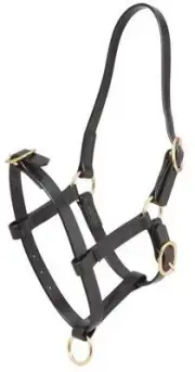 ZILCO PN FOAL HALTER