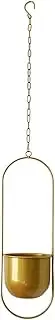 Hanging Indoor Plant Pot, Metal Planter, Balcony Hanging Tool 47x16x14cm/18.5x6.3x5.51 Inches Decorative Ornament/Charming Vertical Display for Showcasing Small Flowers