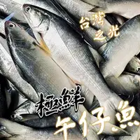 在飛比找鮮拾優惠-【帥哥魚海鮮】【台灣之光】鮮嫩午仔魚 三去真空包裝 台灣午仔