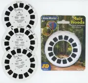 Muir Woods National Monument California View-Master Test Reels + Copy Covers