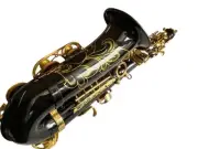 Alto Saxophone Brass Instrument with Case, Mouthpiece & Accessories Kit