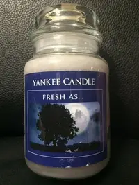 在飛比找Yahoo!奇摩拍賣優惠-【西寧鹿】YANKEE CANDLE 22OZ FRESH 