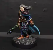 Painted Reaper Miniature - DAMAR, ADVENTURING MAGE - 28mm SCALE