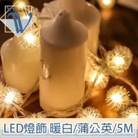 在飛比找momo購物網優惠-【Viita】LED聖誕燈飾燈串/居家裝潢派對佈置燈串 暖白