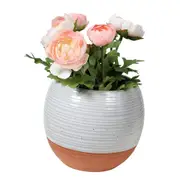 Sill & Sage Terracotta Style Ceramic Planter Home Decor Indoor Pot White 17cm