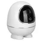 1080P WiFi Security Camera AI /PIR Motion Detection Color Night View Siren A Hot