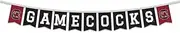 South Carolina Gamecocks Banner String Pennant Flags