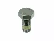 Flywheel Bolt For 1992 Mercedes 400SE D493VP Flywheel Bolt