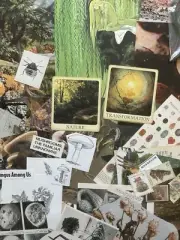 Junk Journal GOBLINCORE themed lot of book pages & cut-outs, embellishments