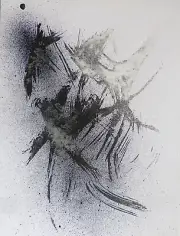 The Wings original ink drawing abstract art painting birds sky FREDERIC BELAUBRE