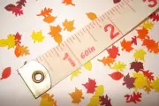 100 + Dollhouse 1:12 scale - Miniature Fall Leaves - Maple, Oak & Elm Trees