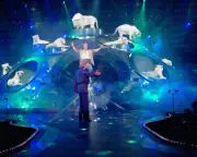 SIEGFRIED & ROY ON STAGE WITH LIONS & TIGERS / Archival Magicians Photo Reprint