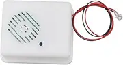 Motion Sensor Scream Sound Box MP3 Halloween Music Scary Voice Audio Speaker
