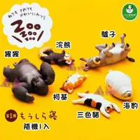 在飛比找蝦皮購物優惠-叉叉日貨 休眠動物園1代睡覺躺姿猩猩浣熊三色貓柯基驢子海豹扭