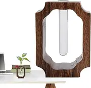 Test Tube Vase - Wood Frame Hydroponic Vase,Aesthetic Clear Glass Test Tube Flower Holder for Home Table Shelf Hotel Living Room Bookshelf Entryway