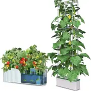 Indoor Hydroponic Garden Kit - Gift Choice with Double-Layer Growing System