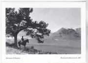 *Postcard-"Swinging H Ranch" -Near Limestone- *Beartooth Mountains Montana(#192)