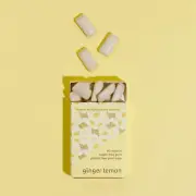 Ginger Lemon Sugar Free Chewing Gum - Honest Gum