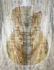 Figure Electric Bass Top Ripple Spalted Worm-hole Maple Wood Luthier Supply