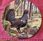 1988 Royal Grafton “Capercaillie” by Derek Braithwaite W/COA NIB FREE SHIPPING