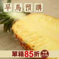 在飛比找台灣好農優惠-旺來嫂ㄟ無毒金鑽鳳梨(6台斤)