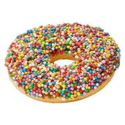 Pooch Treats Doggy Donuts