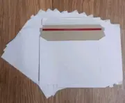 Standard Ebay Shipping Envelopes for Sports and TCG Cards 10 Pack