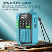 Wireless Radio Speaker Stereo FM Radio Recorder Music Player classic
