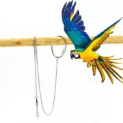 Stainless Steel Leash Parrot Flying Training Rope Birds Harness Macaw Leg Ring