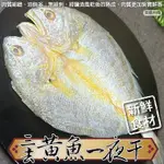 【海陸管家】鮮凍三去黃魚一夜干4尾(每尾250-300G)