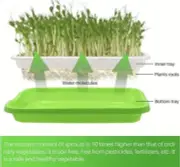 2Pcs Seed Sprouter Germination BPA Free Nursery Tray for Garden 12.72"x9.25"