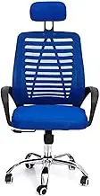 Office Chair High Back Mesh Ergonomic Desk Chair Swivel Computer Chair with Adjustable Headrest and Lumbar Support for Work (Color : Blue)