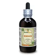 Burdock (Arctium Lappa) Tincture Dried Fruit Liquid Extract
