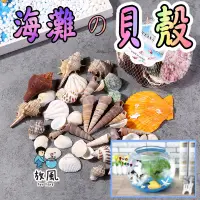 在飛比找蝦皮購物優惠-台灣免運出貨【海灘貝殼組】魚缸裝飾|水族造景|貝殼組合|綜合