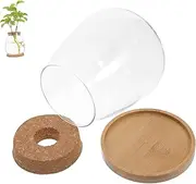 FONDOTIN 1 Set Terrarium Kit of Transparent Plant Containers for Micro Landscape Decoration for Home Office and Cafe Use