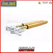 FGRT 231 FORK OHLINS DUCATI 959 Panigale (forcella showa) 2017 - R&T 43 - NIX