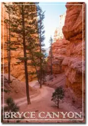 Bryce Canyon , Navajo Loop Trail Refrigerator Magnets Size 2.5" x 3.5"