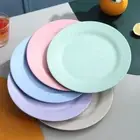 Wheat Straw Dinner Plates PP Plastic Steak Dish Pizza Plate Vegetable